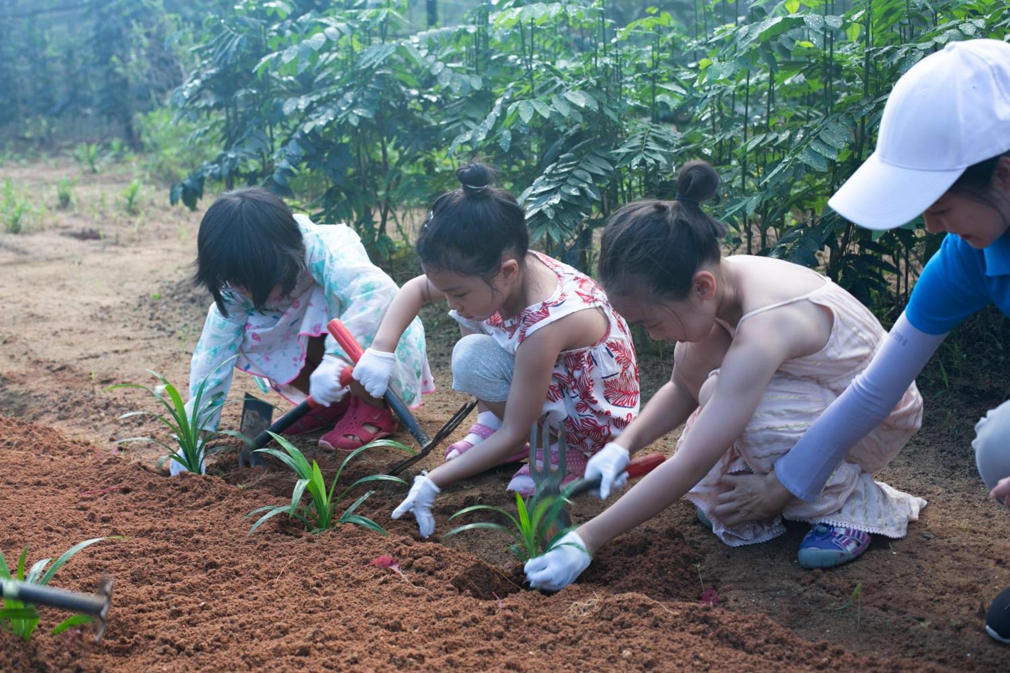 Shangri-La Tam Á Ngoại thất bức ảnh